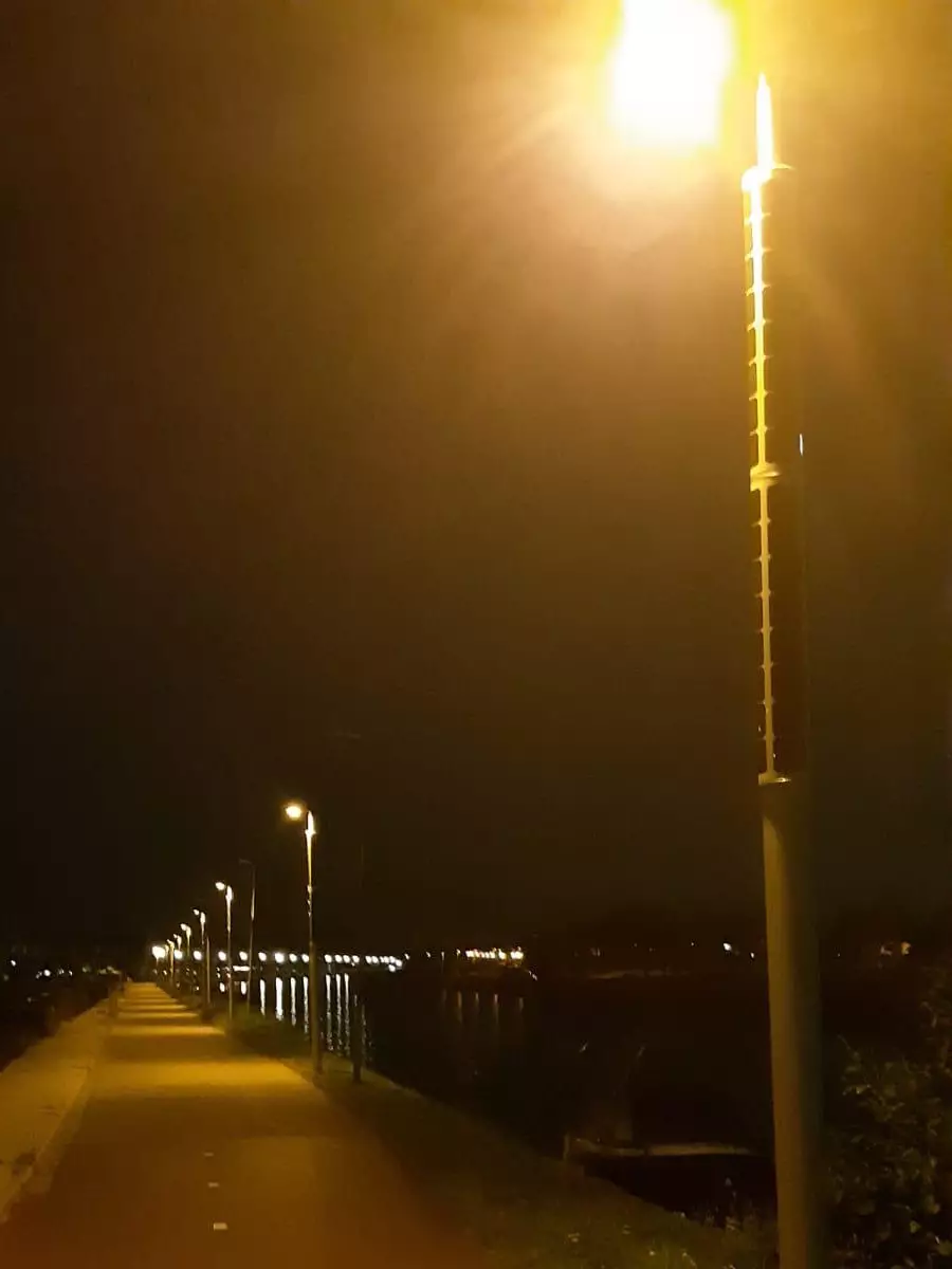 Fully solar-powered bat-friendly light