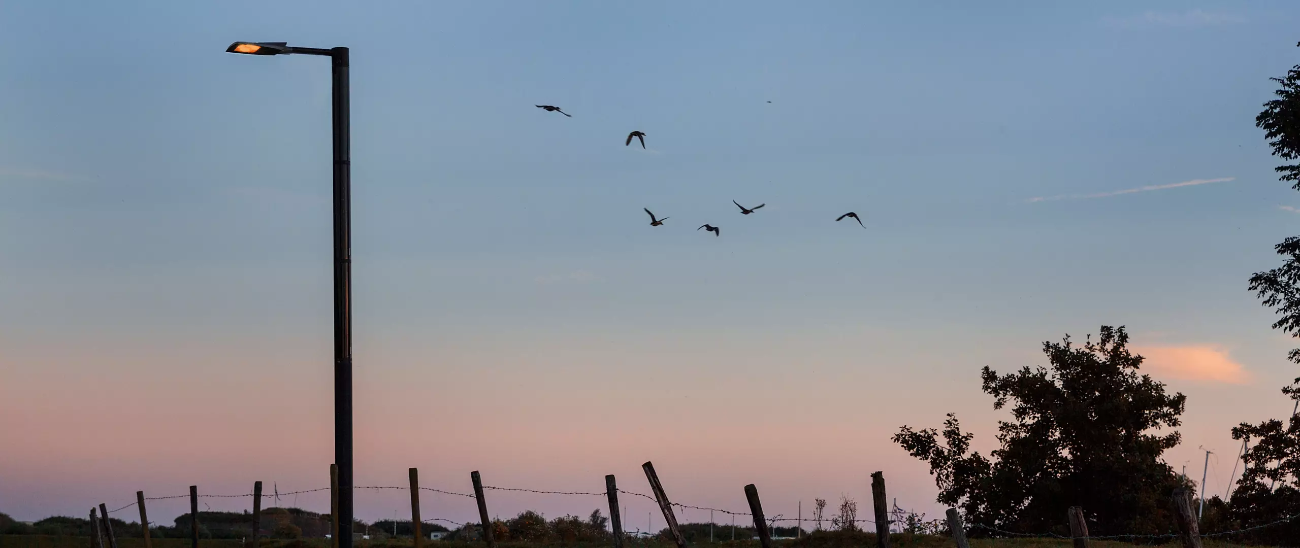 Passive safety column for solar street light