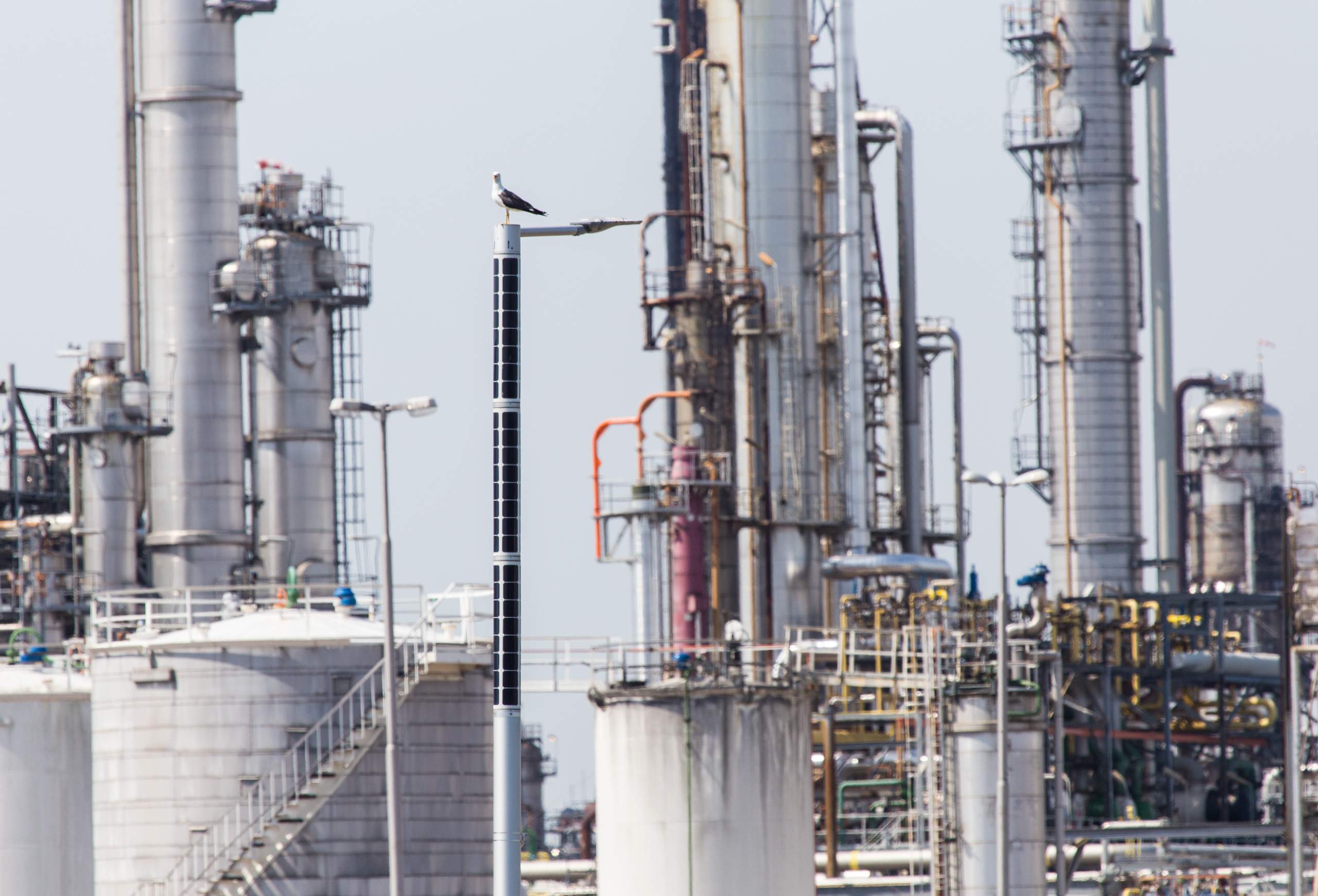 Industrial solar lighting in Rotterdam, the Netherlands