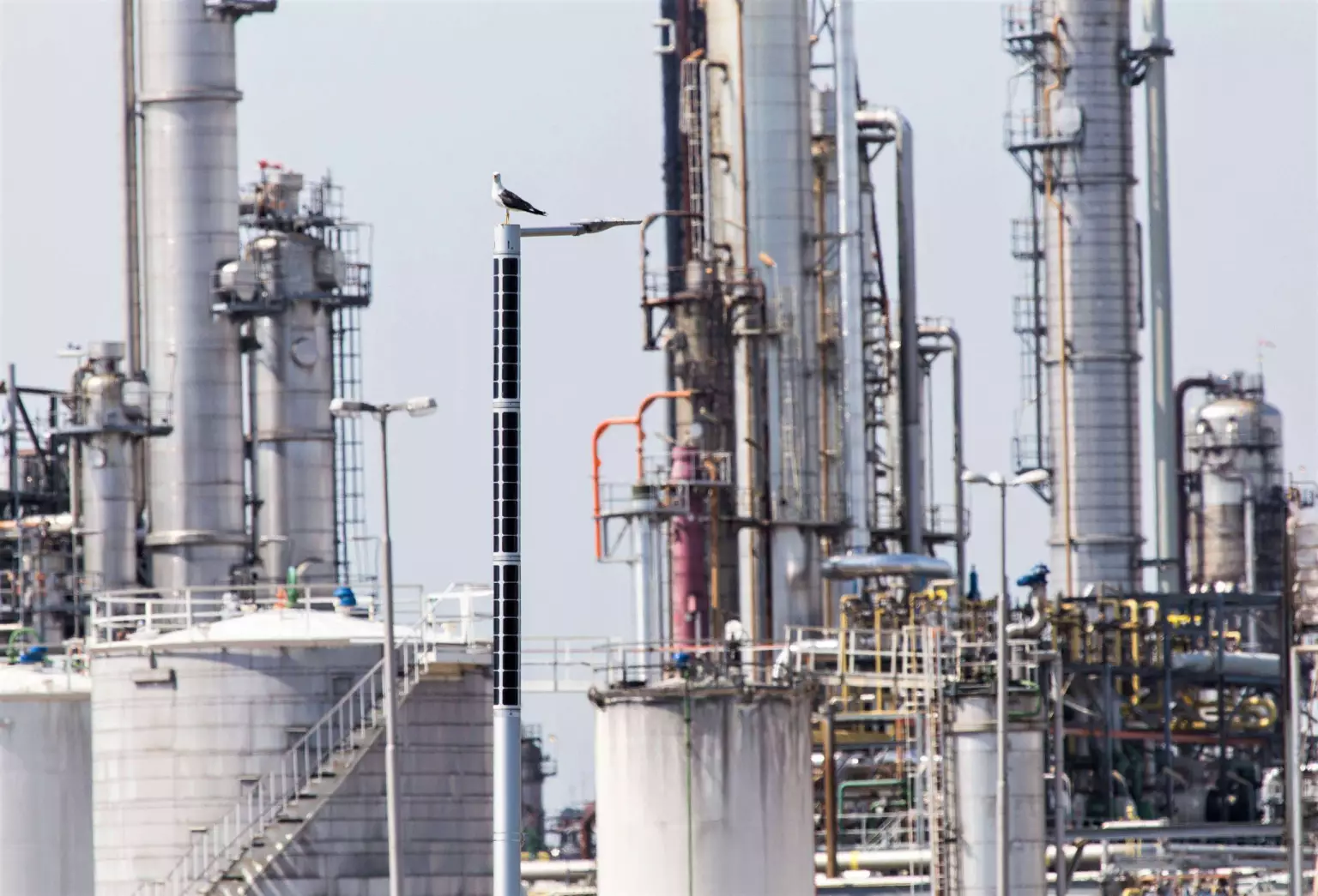 Industrial solar lighting Soluxio with seagul