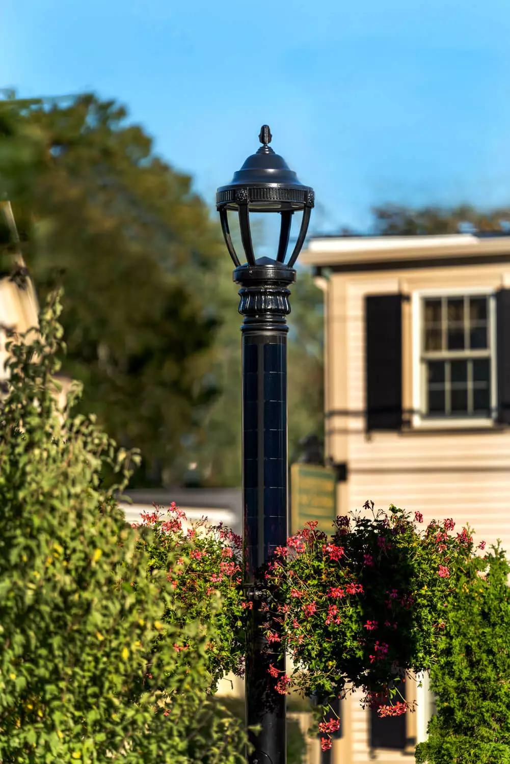 Solar powered light with a fully black solar panel